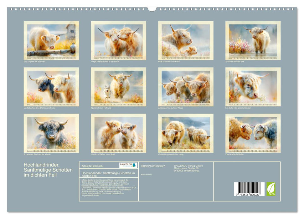 Hochlandrinder. Sanftmütige Schotten im dichten Fell (CALVENDO Premium Wandkalender 2027)
