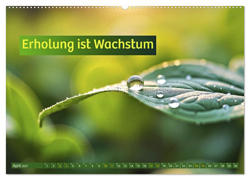Longevity - Die Zukunft der Vitalität (CALVENDO Premium Wandkalender 2027)