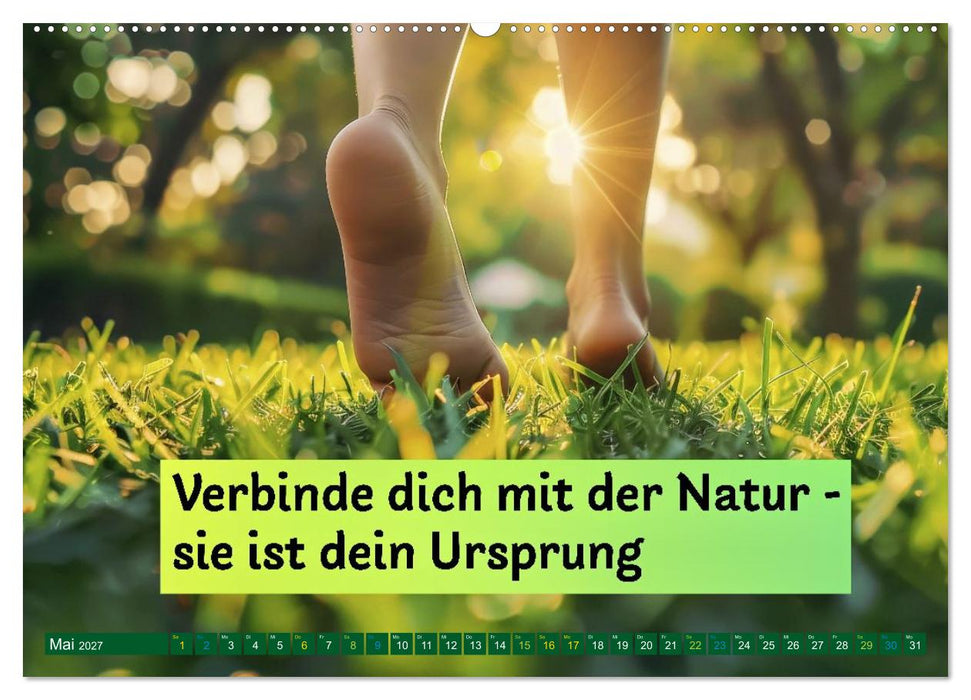 Longevity - Die Zukunft der Vitalität (CALVENDO Premium Wandkalender 2027)