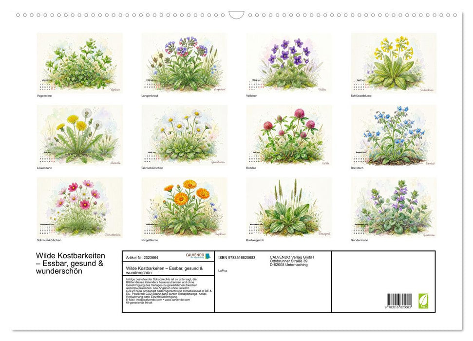 Wilde Kostbarkeiten – Essbar, gesund & wunderschön (CALVENDO Wandkalender 2027)