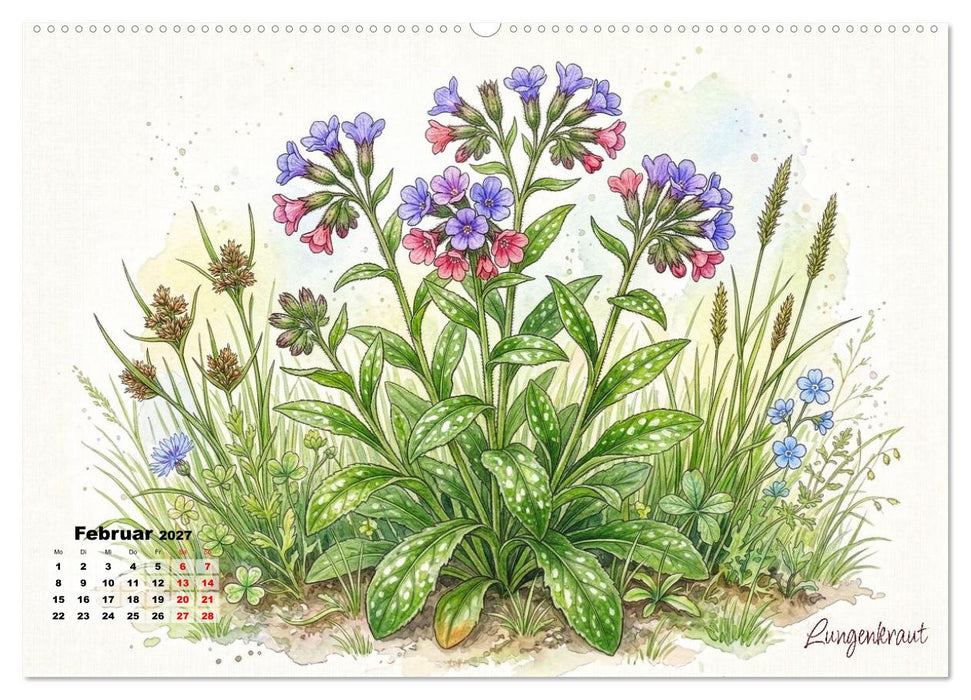 Wilde Kostbarkeiten – Essbar, gesund & wunderschön (CALVENDO Wandkalender 2027)