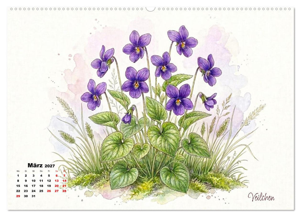 Wilde Kostbarkeiten – Essbar, gesund & wunderschön (CALVENDO Wandkalender 2027)