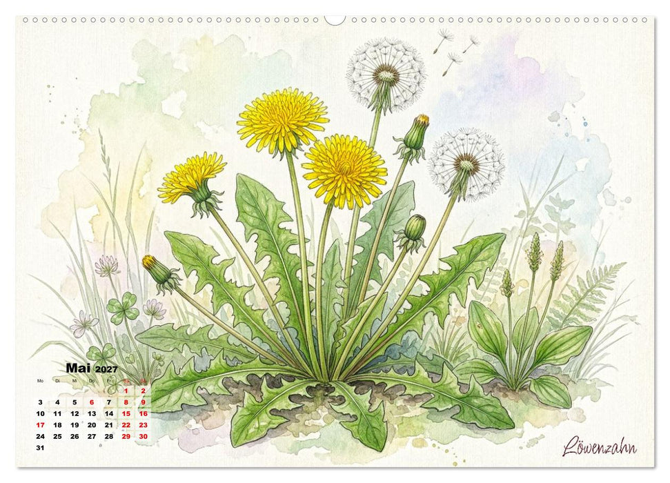 Wilde Kostbarkeiten – Essbar, gesund & wunderschön (CALVENDO Premium Wandkalender 2027)