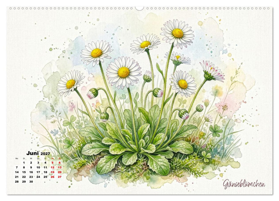 Wilde Kostbarkeiten – Essbar, gesund & wunderschön (CALVENDO Premium Wandkalender 2027)