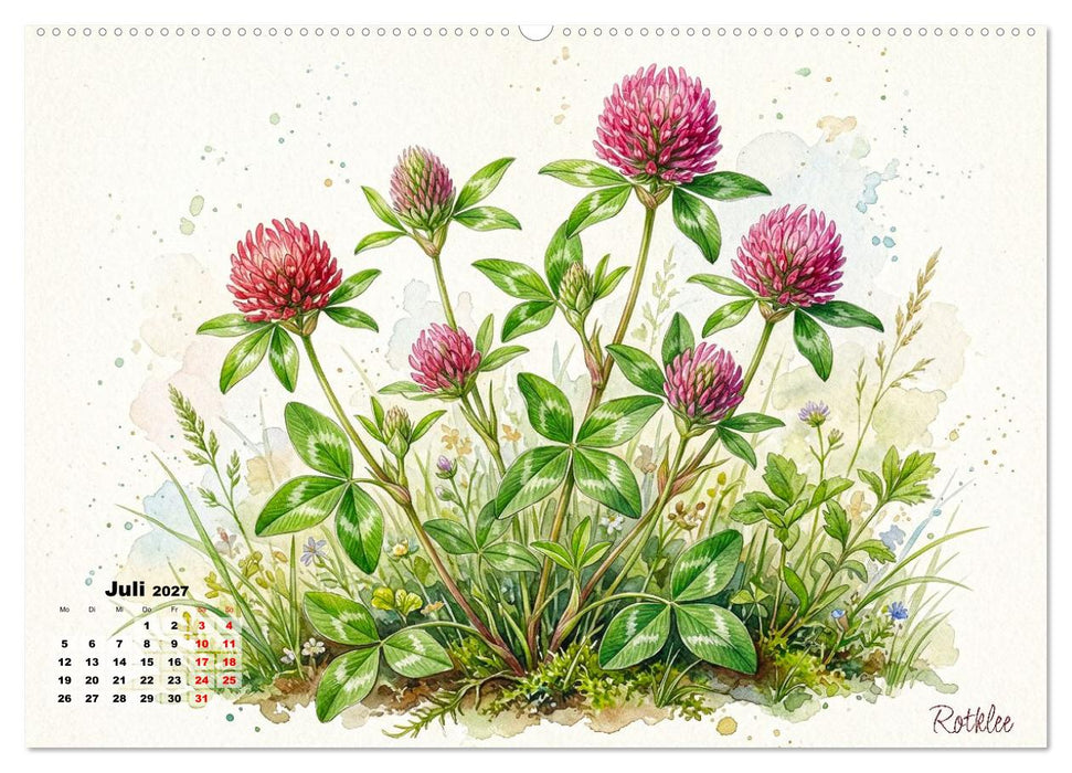 Wilde Kostbarkeiten – Essbar, gesund & wunderschön (CALVENDO Premium Wandkalender 2027)