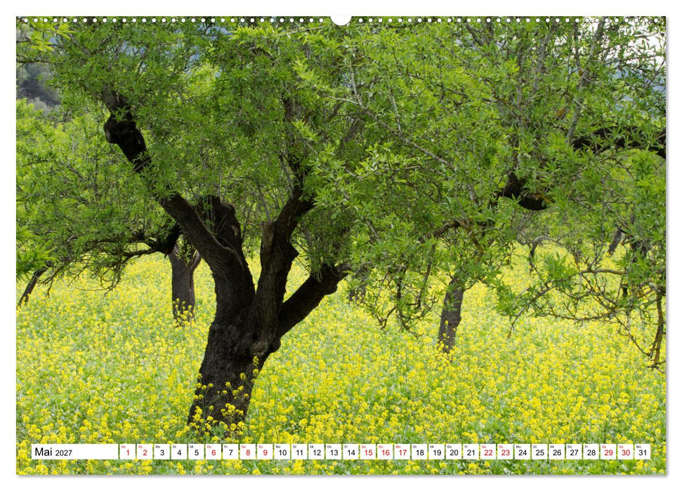 Mallorca - Momente einer Reise (CALVENDO Wandkalender 2027)