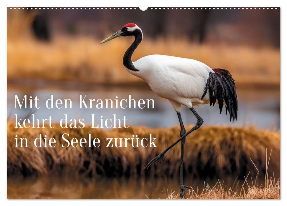 Mit den Kranichen kehrt das Licht in die Seele zurück (CALVENDO Wandkalender 2027)