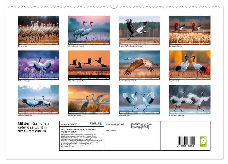 Mit den Kranichen kehrt das Licht in die Seele zurück (CALVENDO Premium Wandkalender 2027)