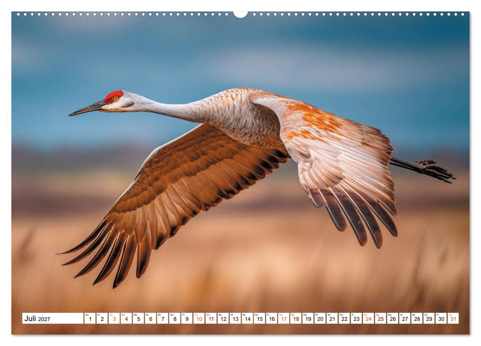 Mit den Kranichen kehrt das Licht in die Seele zurück (CALVENDO Premium Wandkalender 2027)
