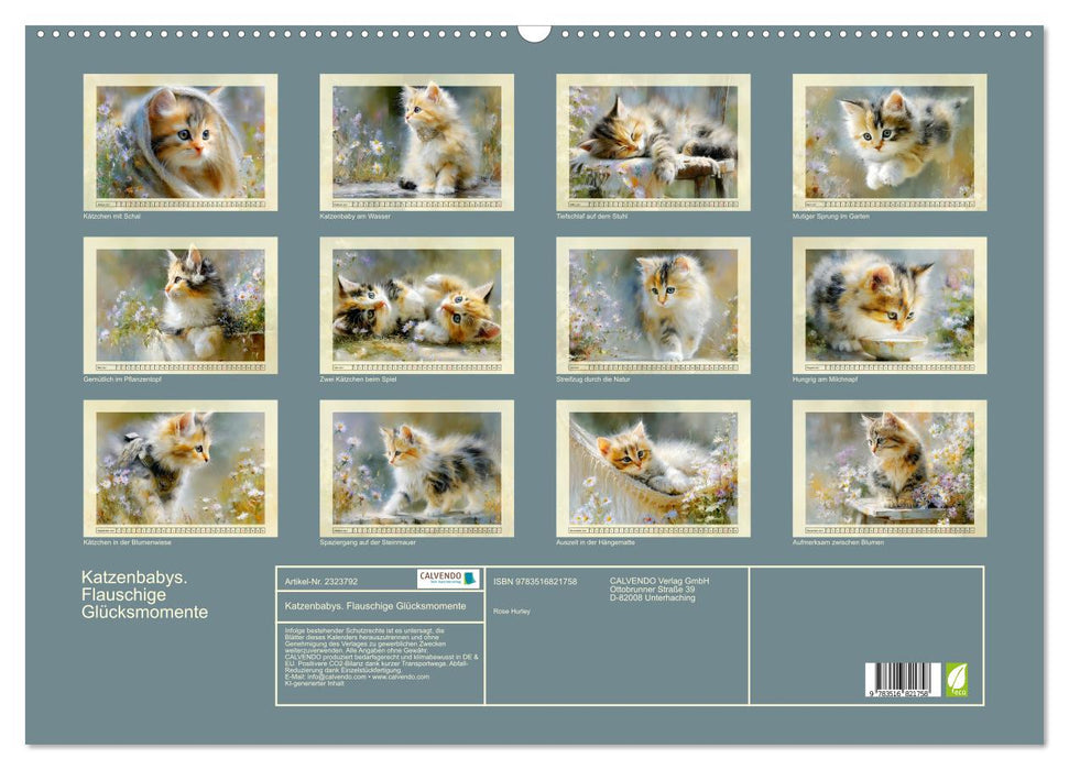Katzenbabys. Flauschige Glücksmomente (CALVENDO Wandkalender 2027)