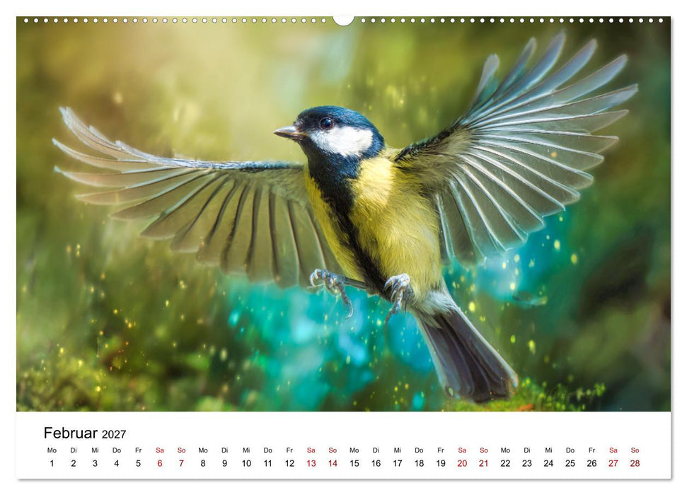 Federleicht - Das geheime Leben der Meisen (CALVENDO Premium Wandkalender 2027)