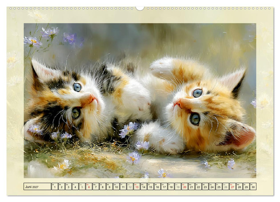 Katzenbabys. Flauschige Glücksmomente (CALVENDO Premium Wandkalender 2027)