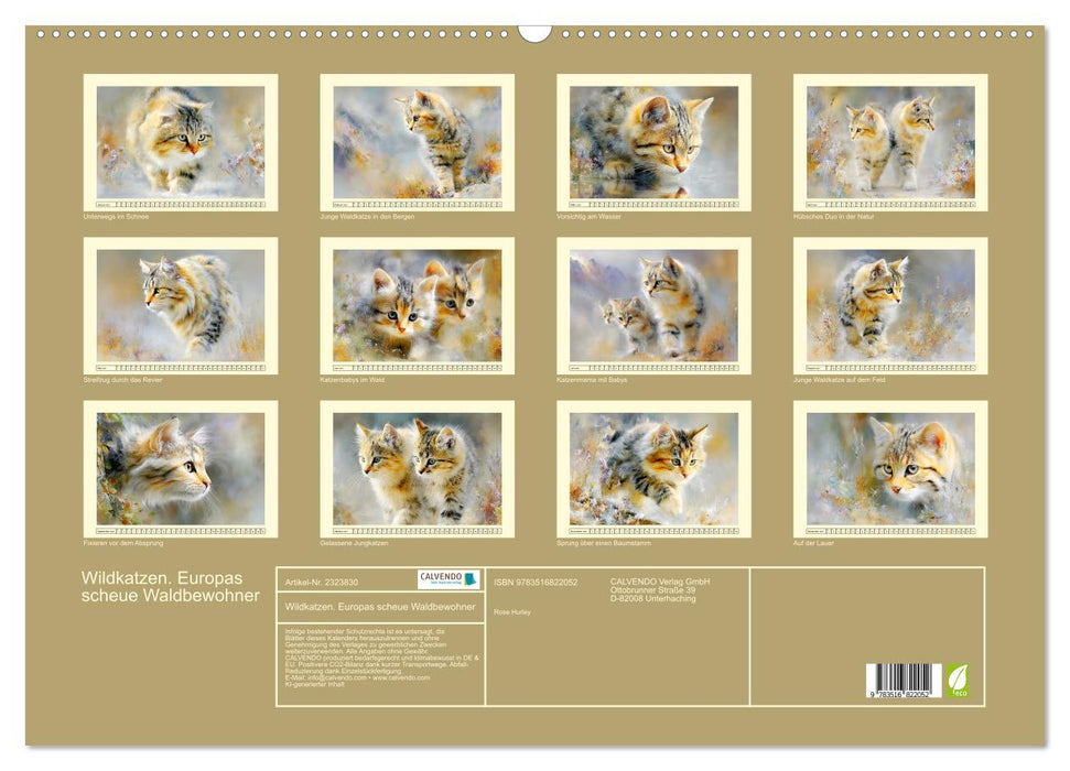 Wildkatzen. Europas scheue Waldbewohner (CALVENDO Wandkalender 2027)