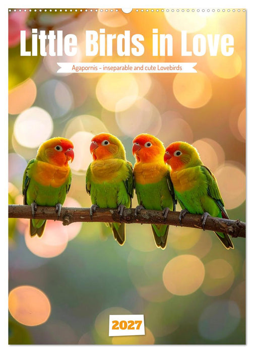 Little Birds in Love (CALVENDO Monthly Calendar 2027)