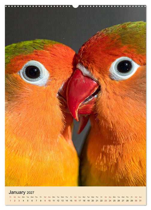 Little Birds in Love (CALVENDO Monthly Calendar 2027)