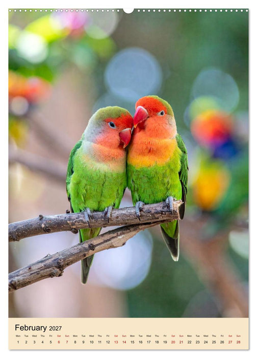 Little Birds in Love (CALVENDO Monthly Calendar 2027)