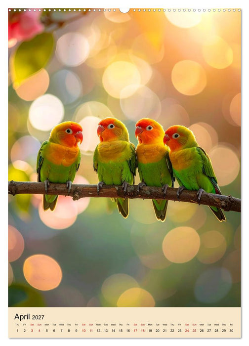 Little Birds in Love (CALVENDO Monthly Calendar 2027)