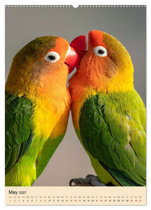 Little Birds in Love (CALVENDO Monthly Calendar 2027)