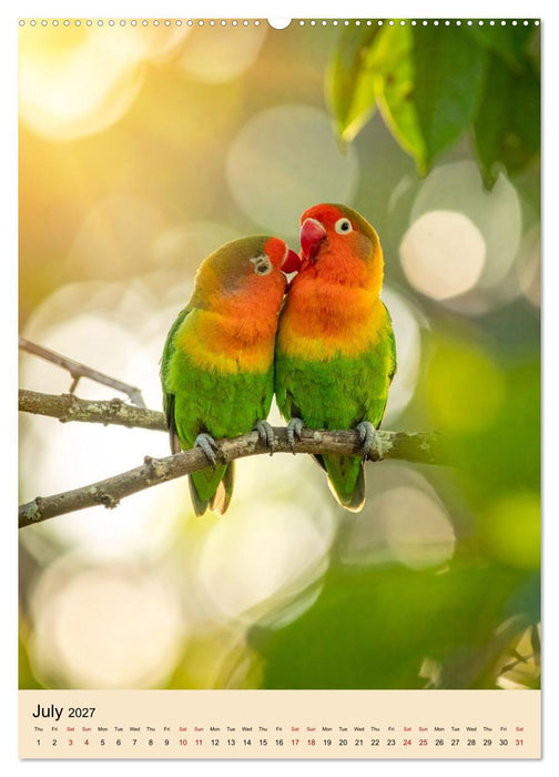Little Birds in Love (CALVENDO Premium-Calendar 2027)