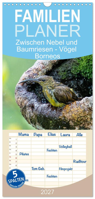 Zwischen Nebel und Baumriesen - Vögel Borneos (CALVENDO Familienplaner 2027)
