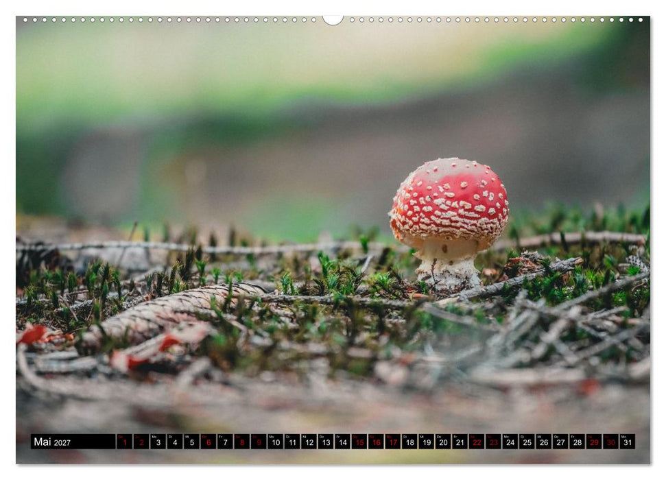 Bayrische Seen und Wälder (CALVENDO Premium Wandkalender 2027)