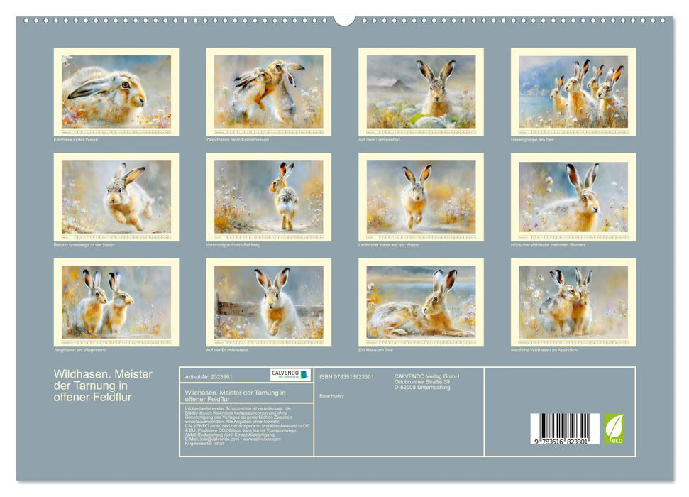 Wildhasen. Meister der Tarnung in offener Feldflur (CALVENDO Premium Wandkalender 2027)
