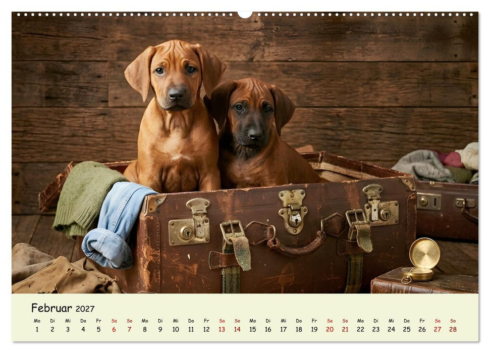 Rhodesian Ridgeback - Welpenzauber (CALVENDO Wandkalender 2027)
