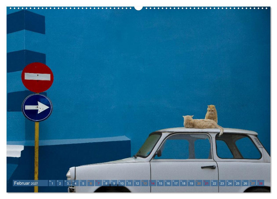 Extra bunt und nochmal bunter (CALVENDO Premium Wandkalender 2027)