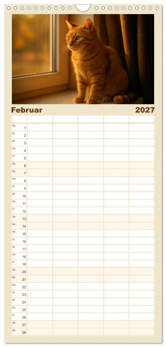 Katzenblicke – Eleganz und Anmut (CALVENDO Familienplaner 2027)