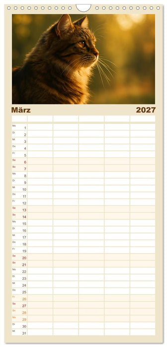 Katzenblicke – Eleganz und Anmut (CALVENDO Familienplaner 2027)