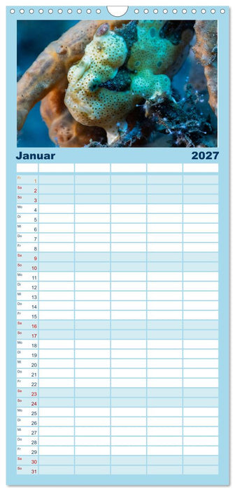 Faszination blaue Unterwasserwelt (CALVENDO Familienplaner 2027)
