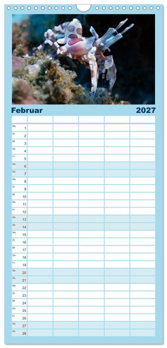 Faszination blaue Unterwasserwelt (CALVENDO Familienplaner 2027)