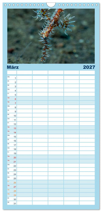 Faszination blaue Unterwasserwelt (CALVENDO Familienplaner 2027)