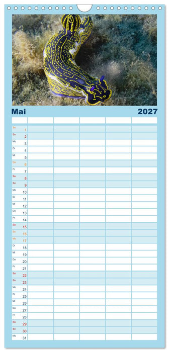 Faszination blaue Unterwasserwelt (CALVENDO Familienplaner 2027)