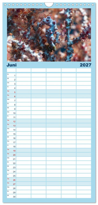 Faszination blaue Unterwasserwelt (CALVENDO Familienplaner 2027)