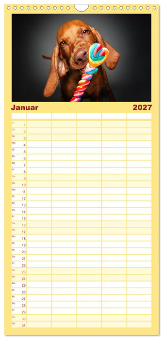 Hunde im Naschparadies (CALVENDO Familienplaner 2027)