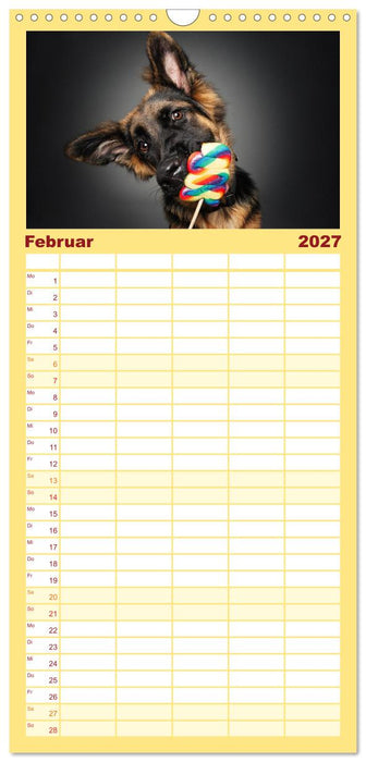 Hunde im Naschparadies (CALVENDO Familienplaner 2027)