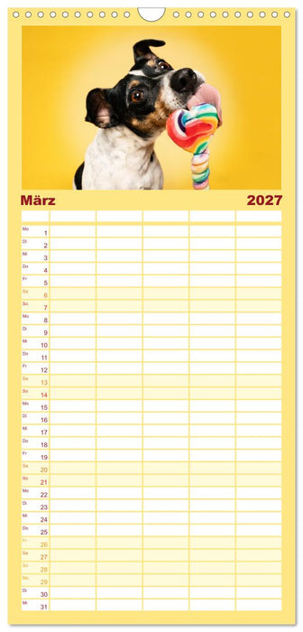 Hunde im Naschparadies (CALVENDO Familienplaner 2027)