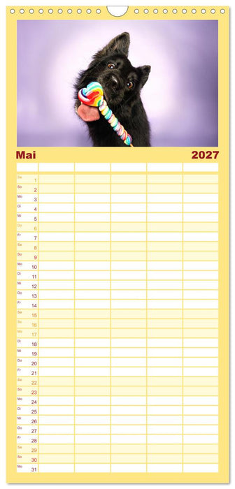 Hunde im Naschparadies (CALVENDO Familienplaner 2027)