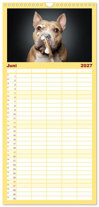 Hunde im Naschparadies (CALVENDO Familienplaner 2027)