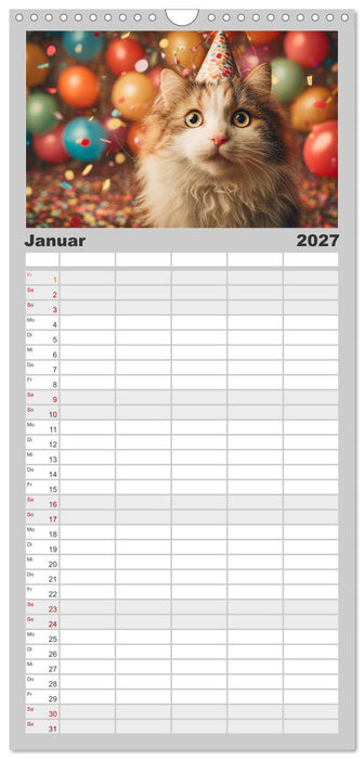 Miau mit Stil (CALVENDO Familienplaner 2027)