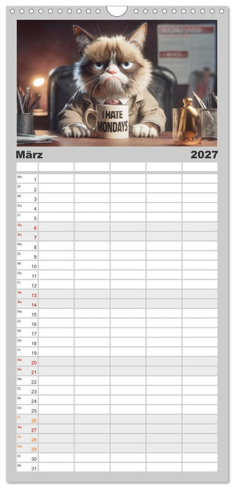 Miau mit Stil (CALVENDO Familienplaner 2027)