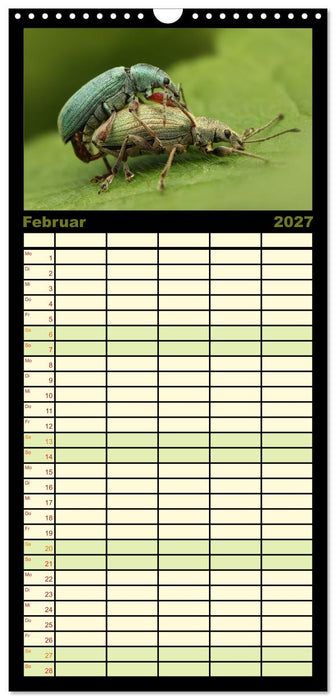 Verborgene Wunder (CALVENDO Familienplaner 2027)