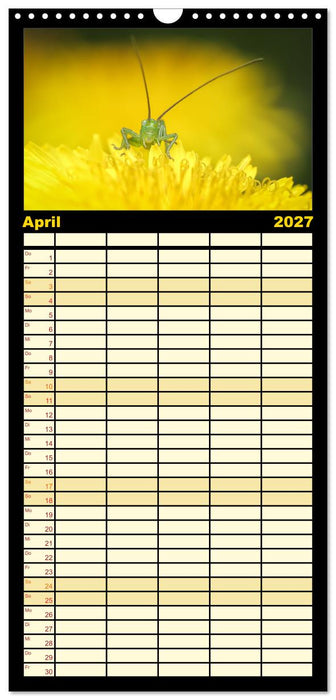 Verborgene Wunder (CALVENDO Familienplaner 2027)