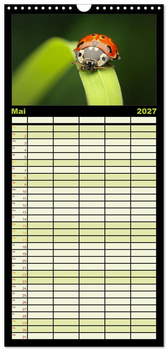 Verborgene Wunder (CALVENDO Familienplaner 2027)