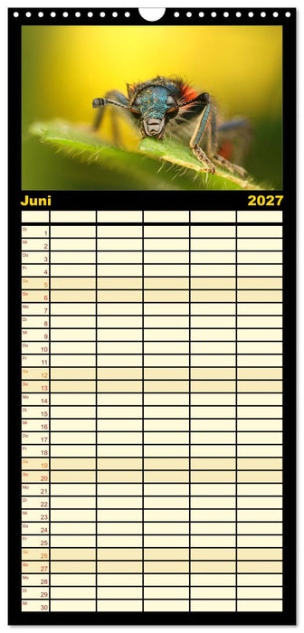 Verborgene Wunder (CALVENDO Familienplaner 2027)