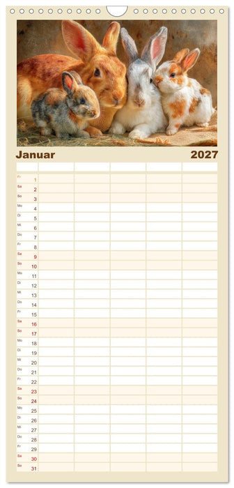 Kaninchenportraits – Szenen voller Charme (CALVENDO Familienplaner 2027)