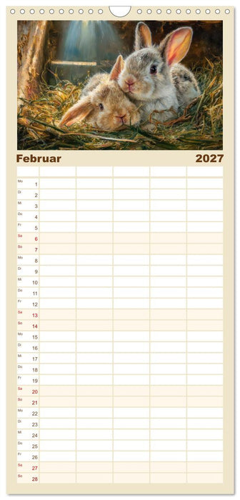 Kaninchenportraits – Szenen voller Charme (CALVENDO Familienplaner 2027)