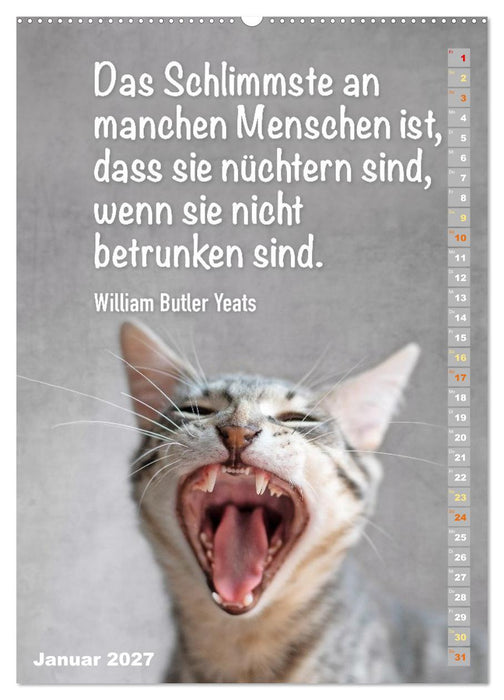 Der literarische Katerkalender (CALVENDO Wandkalender 2027)