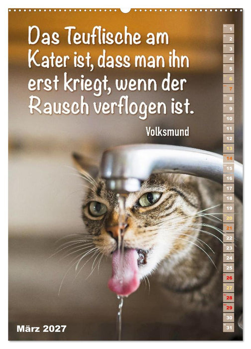 Der literarische Katerkalender (CALVENDO Wandkalender 2027)
